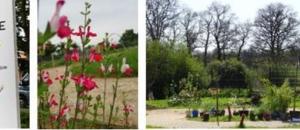 Inauguration du Jardin des Libellules à la résidence Richelot-Lassé de Luchapt